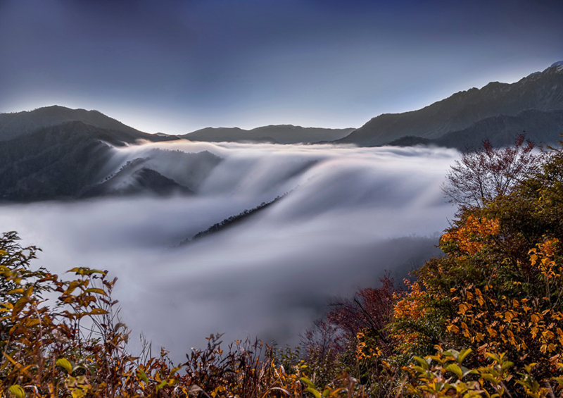 In the foreground, trees with vibrant autumn foliage flourish. In the distance, a sea of clouds flowing between the mountains resembles a cascading waterfall.