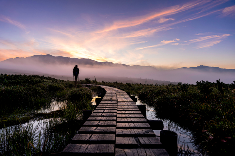 The silhouette of a man walking along a wooden path is sharply outlined against the purplish mist in the light of dawn.