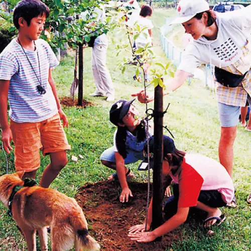 Several children are planting tree seedlings.