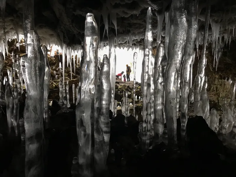 The image shows a man and two dogs standing outside, viewed from inside a cave filled with countless icicles and ice stalagmites.