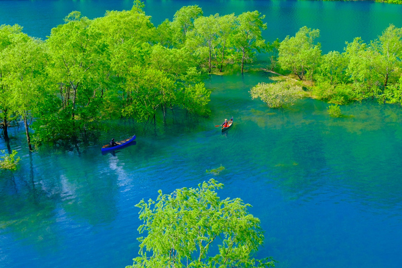 An aerial photograph of two kayaks navigating between the calm lake surface and trees