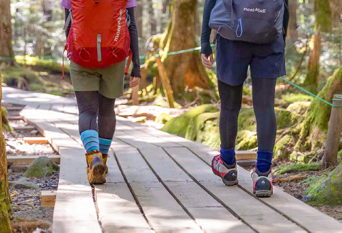 How to Choose Hiking Socks