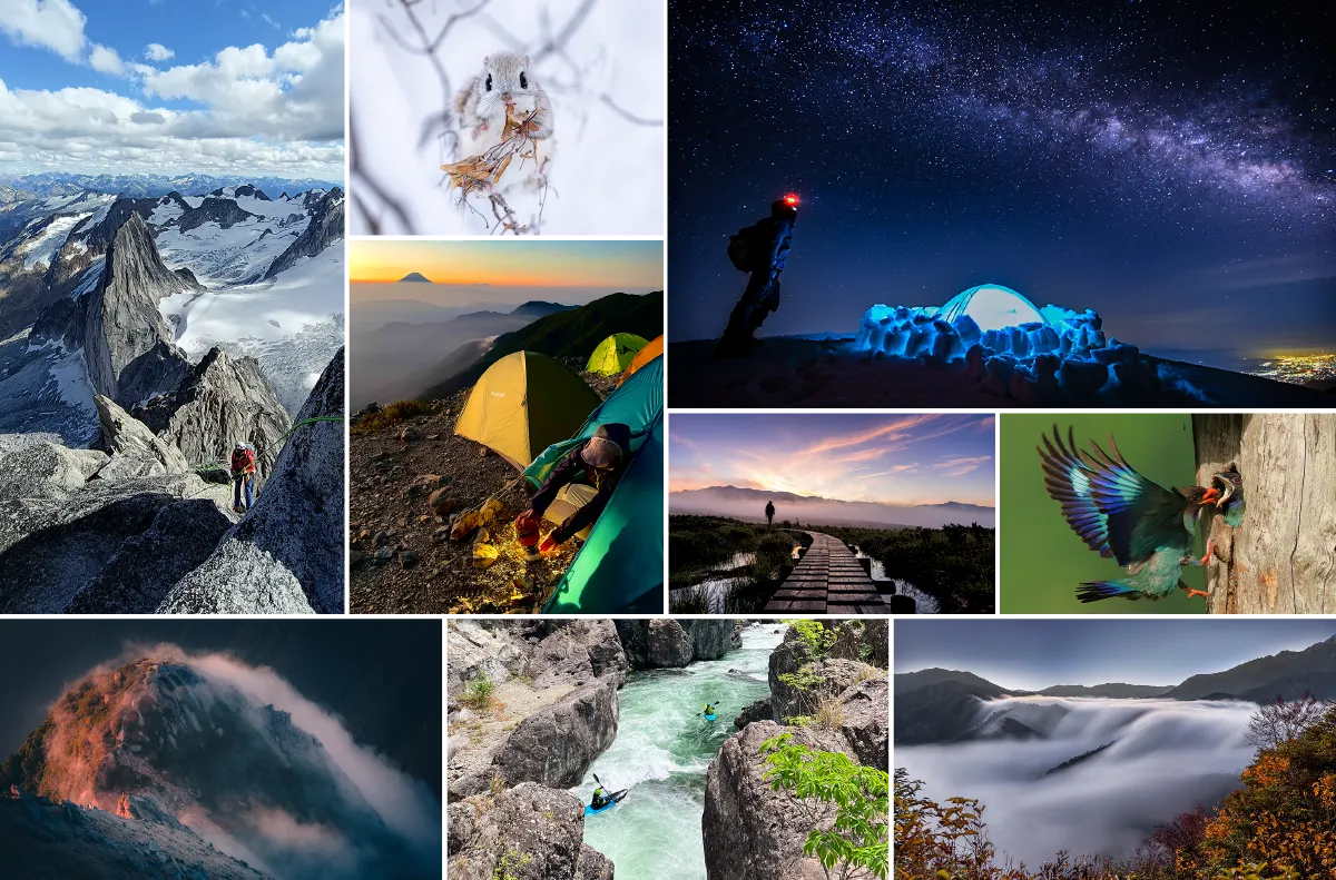Photos of the winning entries from the 11th Photo Contest