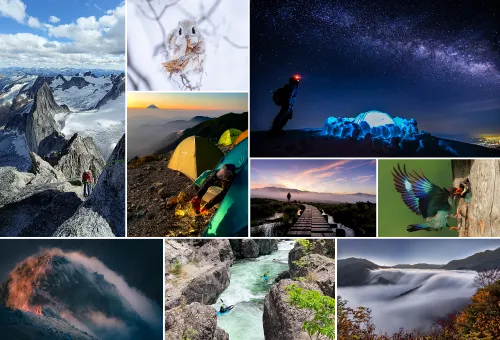 Photos of the winning entries from the 11th Photo Contest