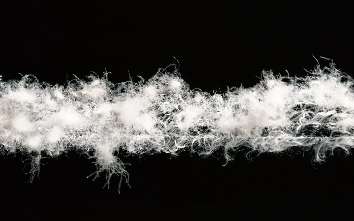 Down fibers entangled in spider yarn