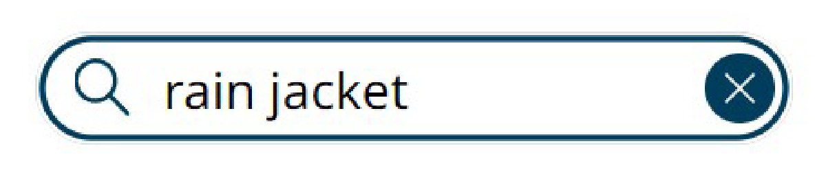 Image screen for keyword search input. Explanation is provided after.