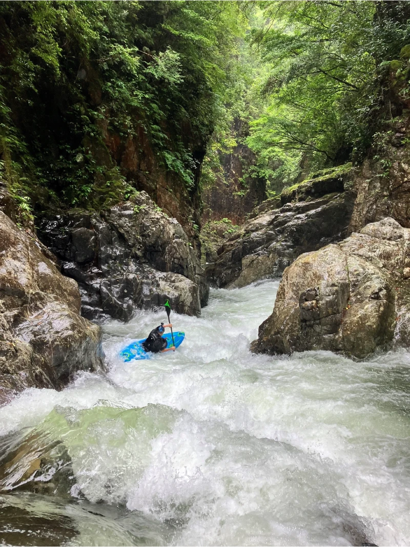 A scene of kayaking down rapids in a forest