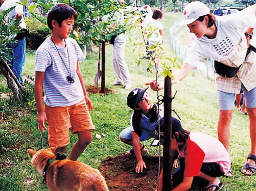 Several children are planting tree seedlings