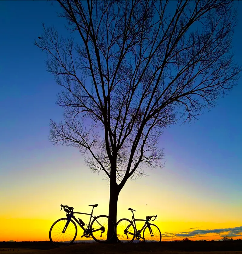 Against the backdrop of a sunset sky, the silhouettes of a single tree and two sports bikes are starkly outlined in black.