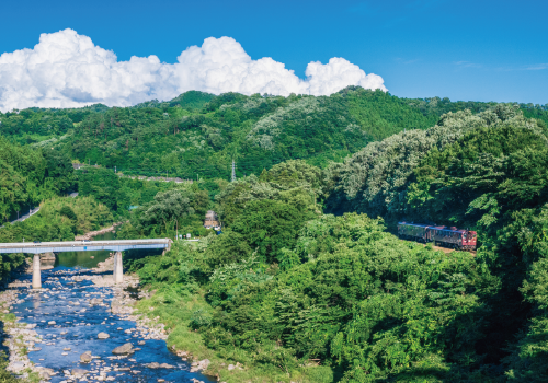 A photograph of the Watarase Valley, with a bridge in the background and a train on the right.