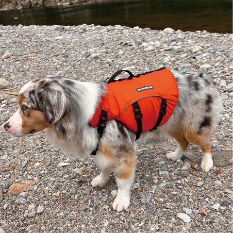 Dog Floatation Vest Small