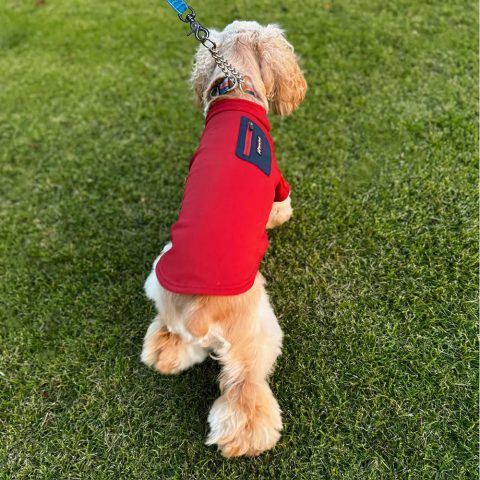 Dog Thermal Jacket Small