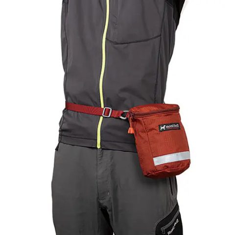 Dog Walker Pouch