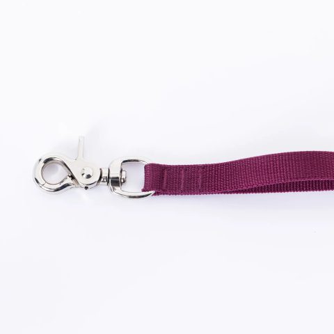 Stretch Dog Lead