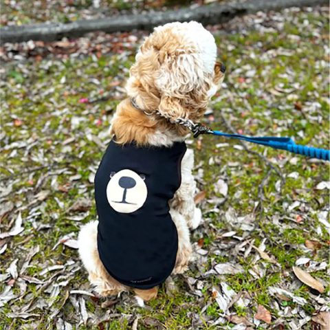Wickron Dog Shirt Monta Bear Face Large