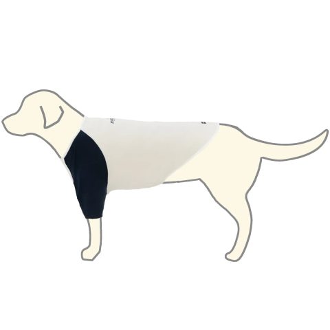 Wickron Dog Raglan T-Shirt Large