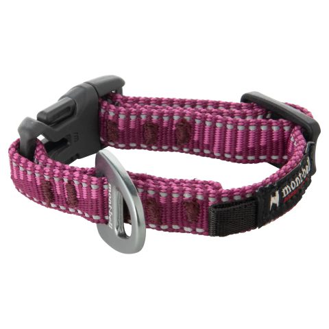 Dog Collar XS Dog Collar XS