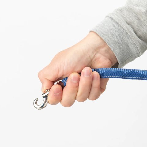 Dog Lead S