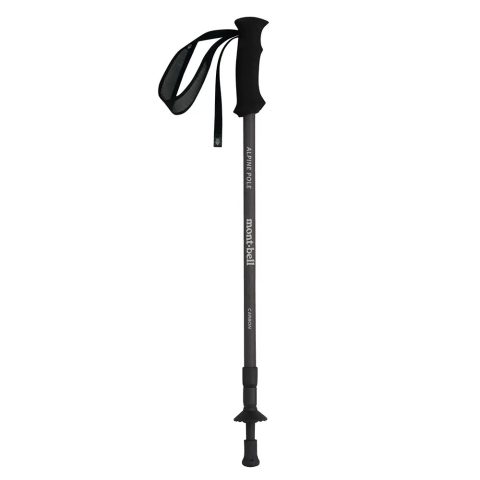Alpine Carbon Pole