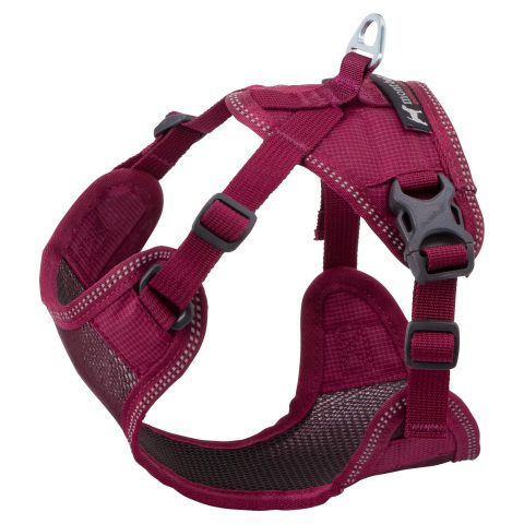 Mesh Dog Harness S