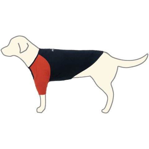 Wickron Dog Raglan T-Shirt Large