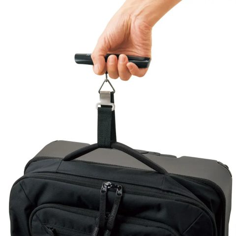Handy Scale