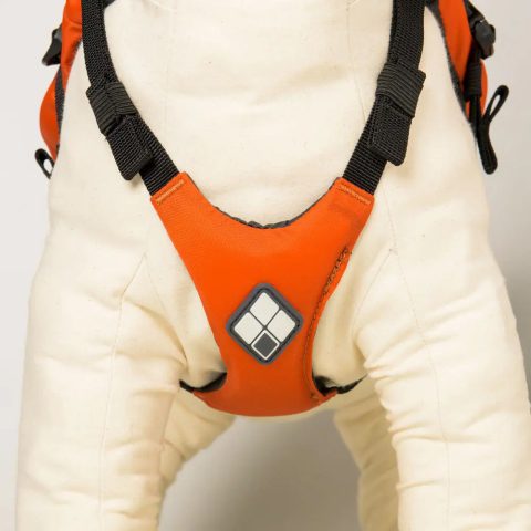 Dog Floatation Vest Small