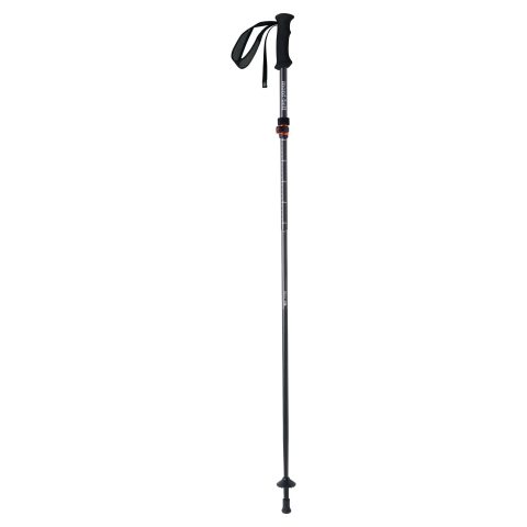 Alpine Folding Pole 120