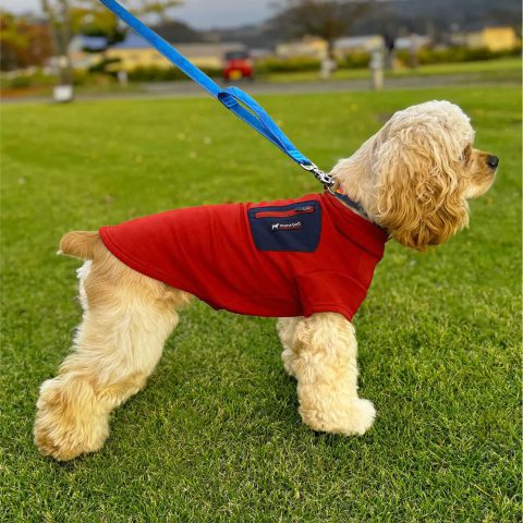 Dog Thermal Jacket Small