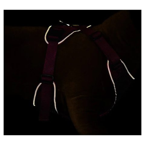 Mesh Dog Harness S