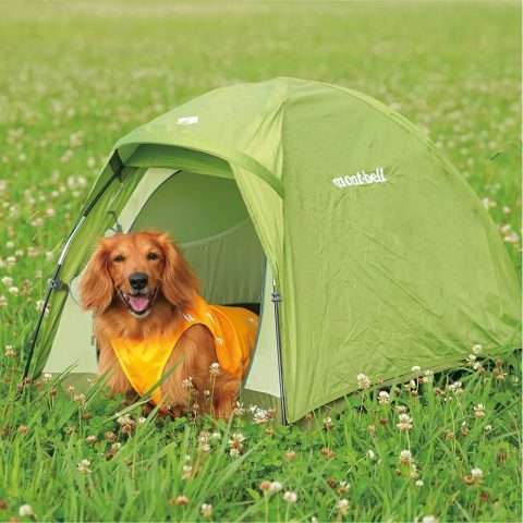 Dog Dome