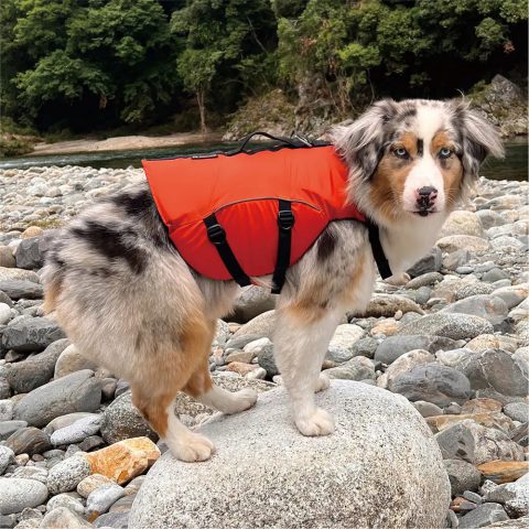 Dog Floatation Vest Large
