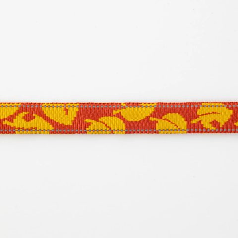 Dog Lead M