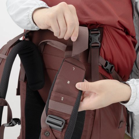 Cha-Cha Pack 60
