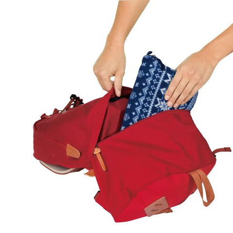 Colorado Daypack