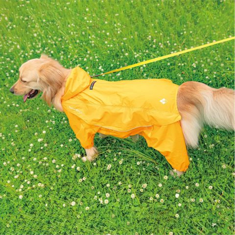 Dog Rain Suit Large