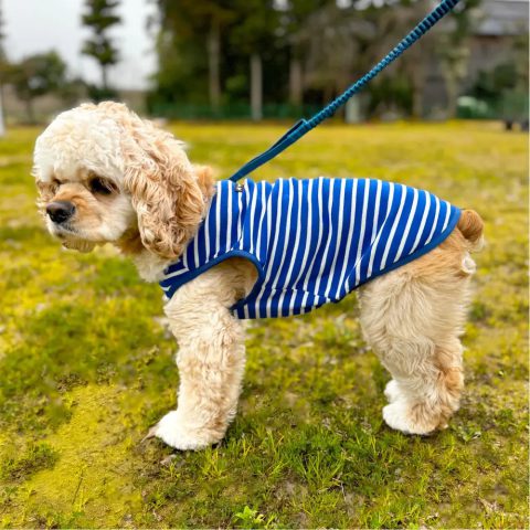 Wickron Dog Shirt Large