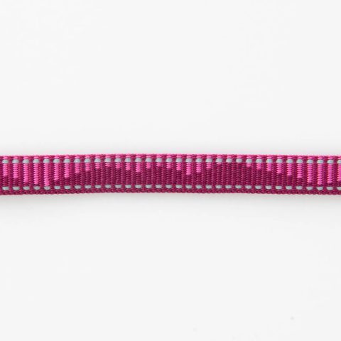 Dog Collar XS